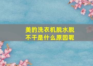 美的洗衣机脱水脱不干是什么原因呢