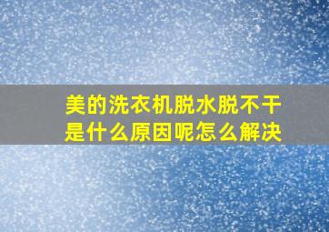 美的洗衣机脱水脱不干是什么原因呢怎么解决