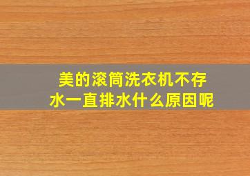 美的滚筒洗衣机不存水一直排水什么原因呢