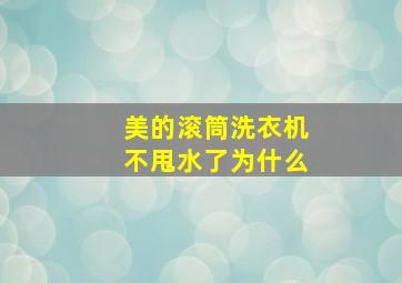 美的滚筒洗衣机不甩水了为什么