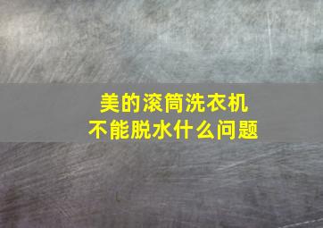 美的滚筒洗衣机不能脱水什么问题