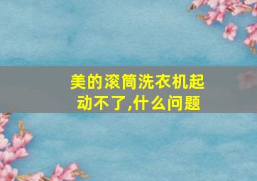 美的滚筒洗衣机起动不了,什么问题