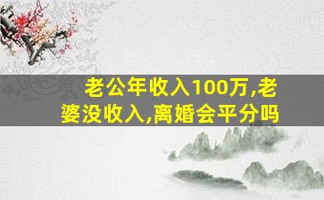 老公年收入100万,老婆没收入,离婚会平分吗