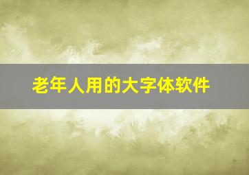 老年人用的大字体软件