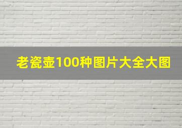 老瓷壶100种图片大全大图