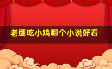 老鹰吃小鸡哪个小说好看