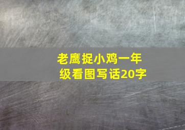 老鹰捉小鸡一年级看图写话20字