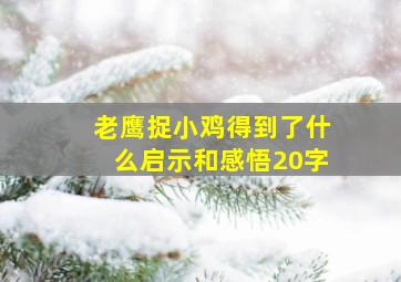 老鹰捉小鸡得到了什么启示和感悟20字