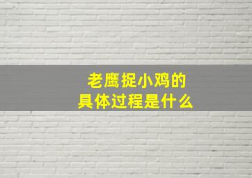 老鹰捉小鸡的具体过程是什么