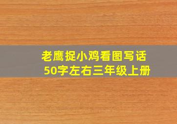 老鹰捉小鸡看图写话50字左右三年级上册