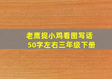 老鹰捉小鸡看图写话50字左右三年级下册