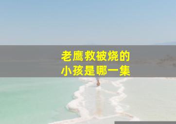 老鹰救被烧的小孩是哪一集