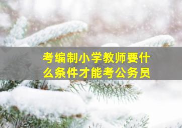 考编制小学教师要什么条件才能考公务员