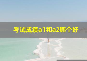 考试成绩a1和a2哪个好