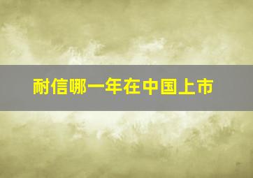 耐信哪一年在中国上市