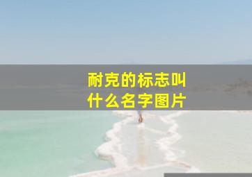 耐克的标志叫什么名字图片