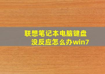 联想笔记本电脑键盘没反应怎么办win7