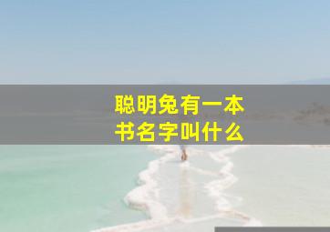 聪明兔有一本书名字叫什么