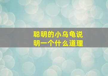 聪明的小乌龟说明一个什么道理