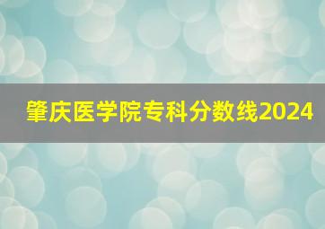 肇庆医学院专科分数线2024