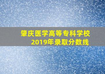 肇庆医学高等专科学校2019年录取分数线