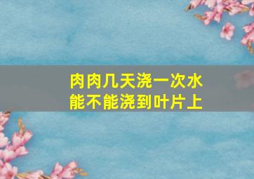 肉肉几天浇一次水能不能浇到叶片上