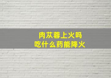 肉苁蓉上火吗吃什么药能降火