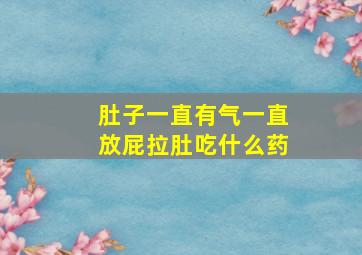 肚子一直有气一直放屁拉肚吃什么药