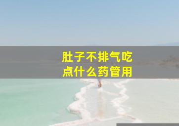 肚子不排气吃点什么药管用