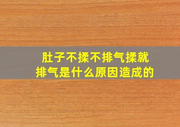 肚子不揉不排气揉就排气是什么原因造成的