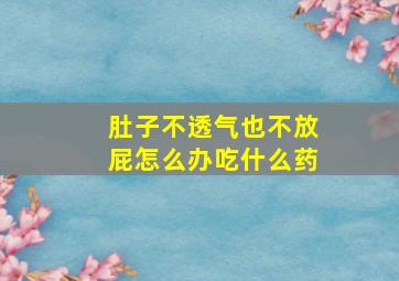 肚子不透气也不放屁怎么办吃什么药