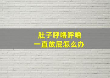 肚子呼噜呼噜一直放屁怎么办