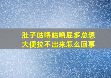 肚子咕噜咕噜屁多总想大便拉不出来怎么回事