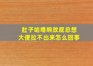 肚子咕噜响放屁总想大便拉不出来怎么回事