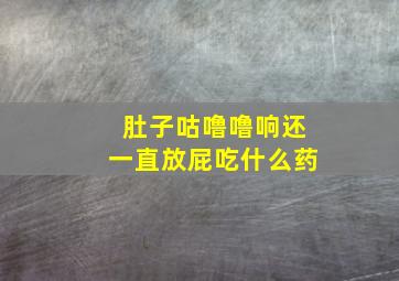 肚子咕噜噜响还一直放屁吃什么药