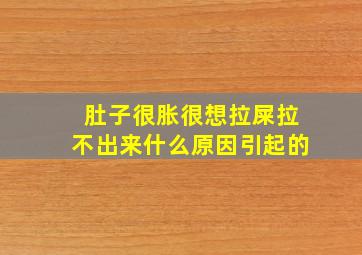 肚子很胀很想拉屎拉不出来什么原因引起的