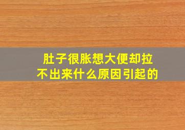 肚子很胀想大便却拉不出来什么原因引起的