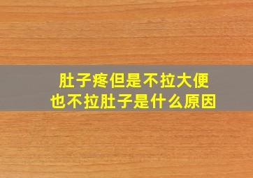 肚子疼但是不拉大便也不拉肚子是什么原因