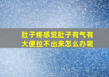 肚子疼感觉肚子有气有大便拉不出来怎么办呢