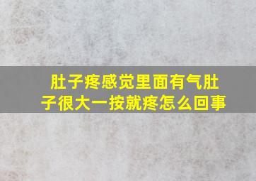 肚子疼感觉里面有气肚子很大一按就疼怎么回事