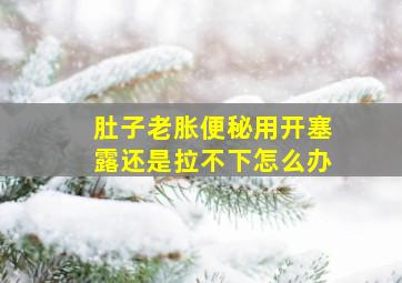 肚子老胀便秘用开塞露还是拉不下怎么办