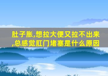 肚子胀,想拉大便又拉不出来,总感觉肛门堵塞是什么原因