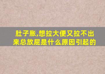 肚子胀,想拉大便又拉不出来总放屁是什么原因引起的