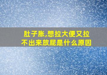 肚子胀,想拉大便又拉不出来放屁是什么原因