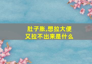 肚子胀,想拉大便又拉不出来是什么