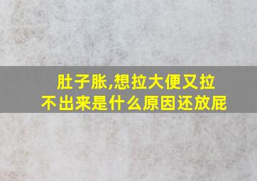 肚子胀,想拉大便又拉不出来是什么原因还放屁