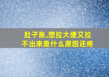 肚子胀,想拉大便又拉不出来是什么原因还疼