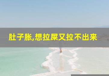 肚子胀,想拉屎又拉不出来