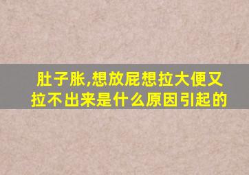 肚子胀,想放屁想拉大便又拉不出来是什么原因引起的