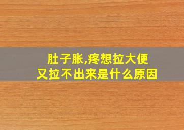 肚子胀,疼想拉大便又拉不出来是什么原因